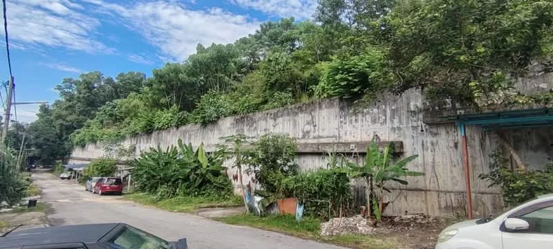 Exterior features: concrete wall, lush greenery, tall trees, overgrown vegetation, dirt road, residential street, parked cars, fenced area.