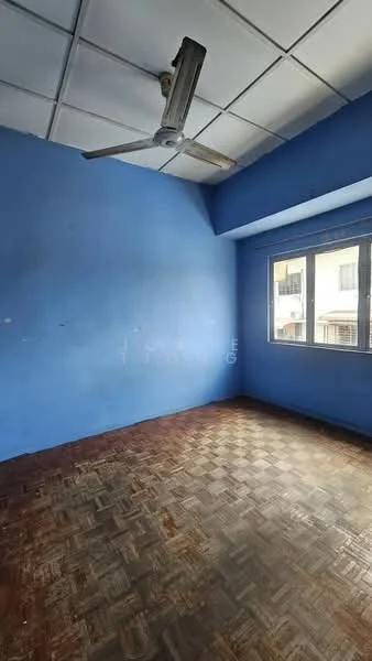 Room features: blue painted walls, ceiling fan, window with view, wooden flooring, square ceiling tiles.