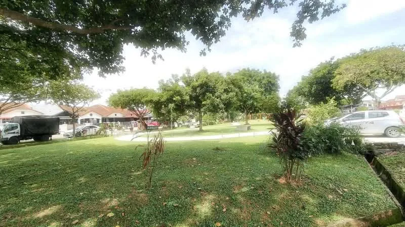 Exterior type: landscape garden; features: manicured lawn, mature trees, tropical landscaping, stone-paved walkway, surrounded by residential houses, open green space; style: tropical-modern.