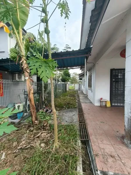 Exterior type: linked terrace house; features: concrete walkway, metal roof, fenced yard, papaya tree, overgrown grass, side entrance, adjacent house, outdoor space, gutter drainage system; style: traditional.