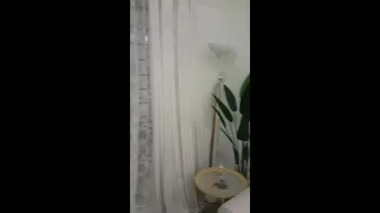 Room features: white painted walls, floor-to-ceiling windows, sheer curtains, potted plant, side table, lamp; style: modern.