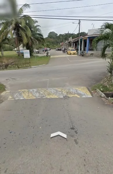 Exterior features: paved road, speed bump, street lighting, palm trees, residential buildings, open green space, utility poles, sidewalk, curb, road signage.