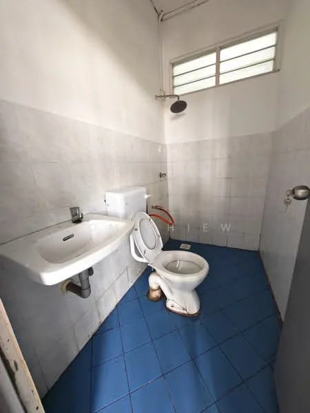 Bathroom features: white tiled walls, blue tiled flooring, toilet, sink with faucet, shower head, window for natural light, wall-mounted mirror.