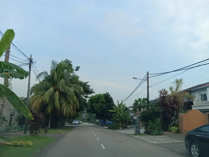 Exterior features: paved road, tall palm trees, lush greenery, residential houses, street lamps, power lines, fenced properties, driveways, landscaped gardens.