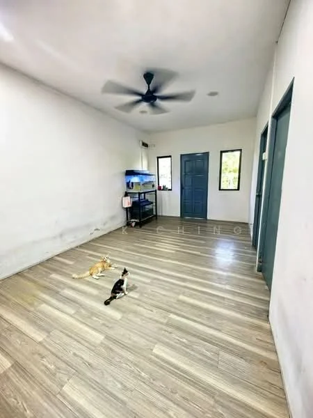 Room features: light wood laminate flooring, white painted walls, ceiling fan, two windows, blue door, open space, two cats on the floor; style: minimalist.