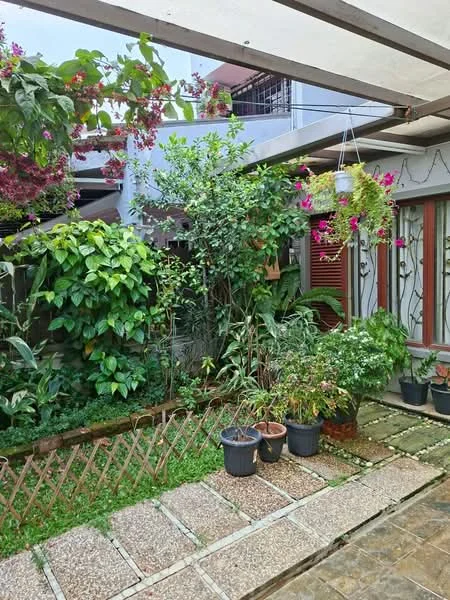 Exterior type: landscape garden; features: paved stone walkway, flowering plants in pots, green foliage, wooden trellis, hanging flower basket, manicured garden area, decorative plants, fenced garden area; style: tropical-modern.