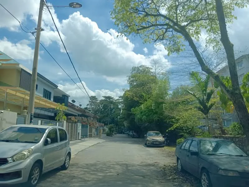 Exterior features: residential street, trees lining the street, cloudy sky, parked cars, paved road, single-storey houses, overhead street lighting.