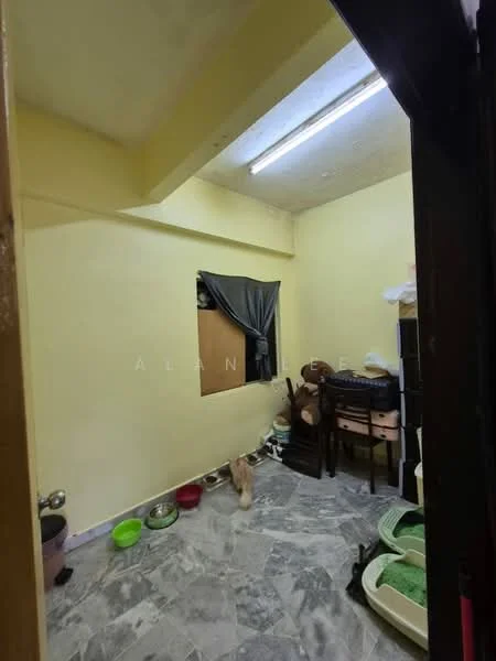 Room features: yellow painted walls, marble flooring, window with grey curtain, ceiling light fixture, pet bowls on the floor, wooden furniture, storage boxes, cat litter box.