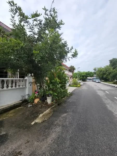 Exterior features: paved road, landscaped garden with shrubs, mature trees, sidewalk, residential street, curbside drainage.