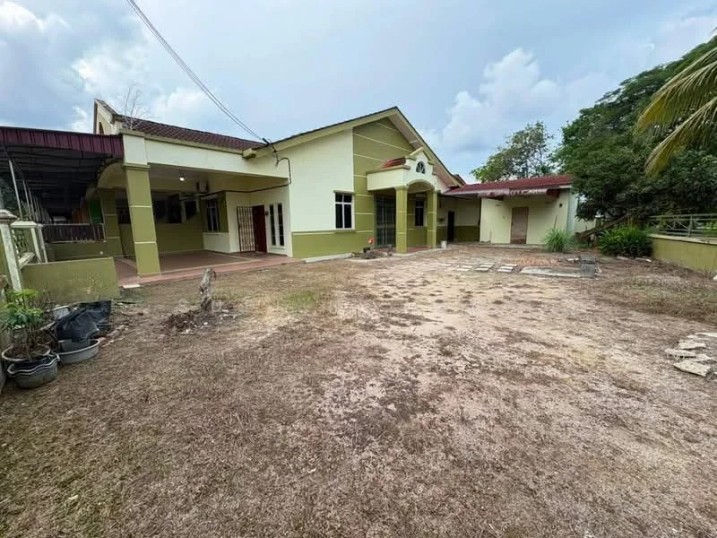 Exterior type: detached bungalow; features: green painted facade, single-storey, front porch area, manicured lawn, paved walkway, surrounded by greenery, gabled roof, large windows, outdoor space, driveway, garden area; style: modern.