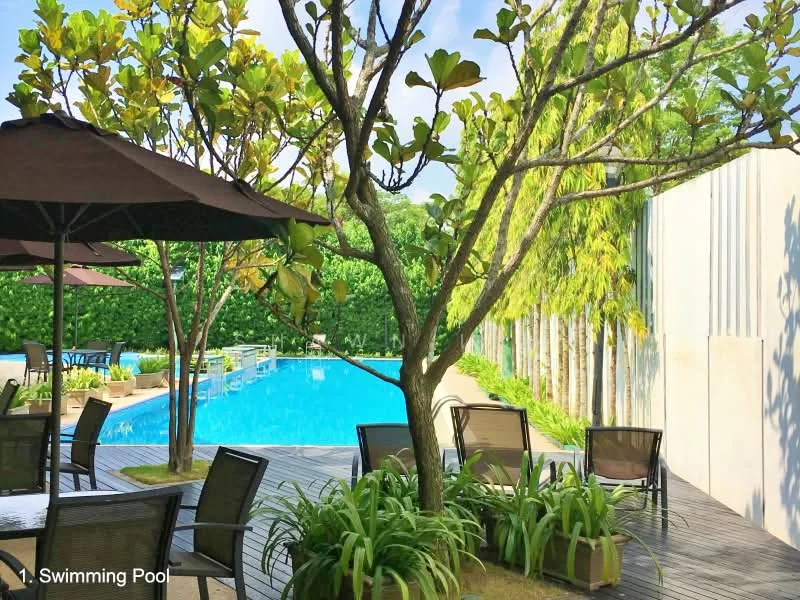 Exterior type: swimming pool deck; features: swimming pool, wooden deck, outdoor seating area with chairs, umbrella shades, landscaped garden with greenery, potted plants, tropical trees; style: modern.