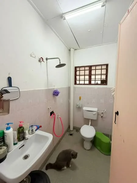 Bathroom features: white toilet, wall-mounted sink, shower head with wall-mounted fixture, pink shower hose, mirror above sink, grey flooring, pink tiled walls, window with wooden grille, green stool, various toiletries on sink.
