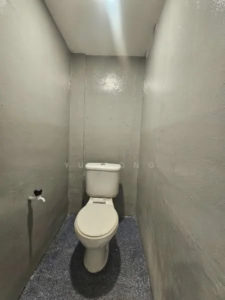 Bathroom features: one-piece toilet, grey painted walls, grey flooring, ceiling light.