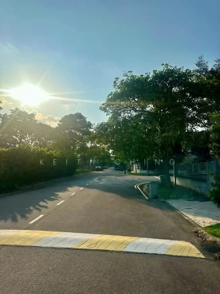 Exterior features: sunny weather, tree-lined street, paved road, speed bump, greenery on both sides, clear blue sky, residential area.
