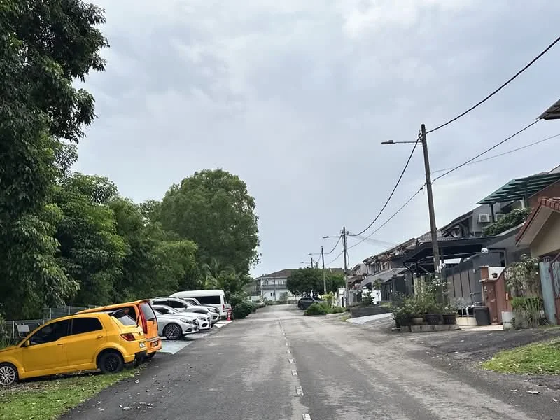 Exterior features: residential street, asphalt road, parked cars, trees lining the street, overcast sky, utility poles, sidewalk, single-storey houses, greenery on both sides.