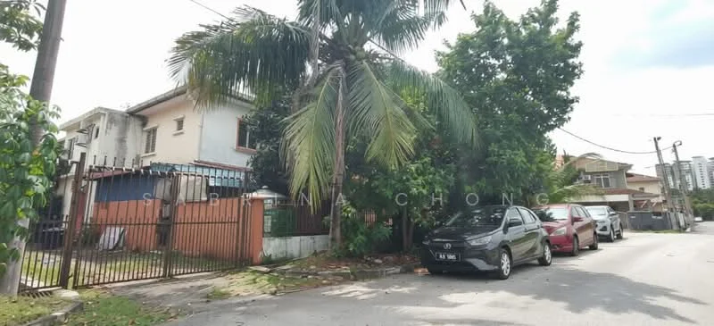 Exterior type: detached bungalow; features: white painted facade, single-storey, manicured lawn, mature palm trees, fenced perimeter, gated entry, driveway with interlocking pavers, surrounded by greenery; style: modern.