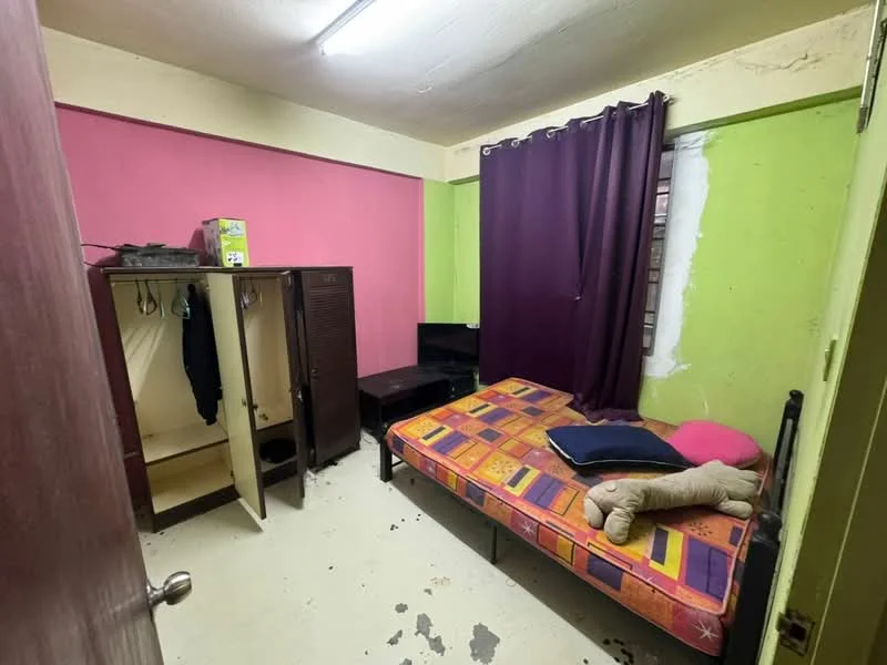 Bedroom features: pink painted walls, green painted walls, single bed with colorful bedding, brown wardrobe, black TV, purple curtains, floor with visible stains, stuffed animal on bed, wooden bedside table.