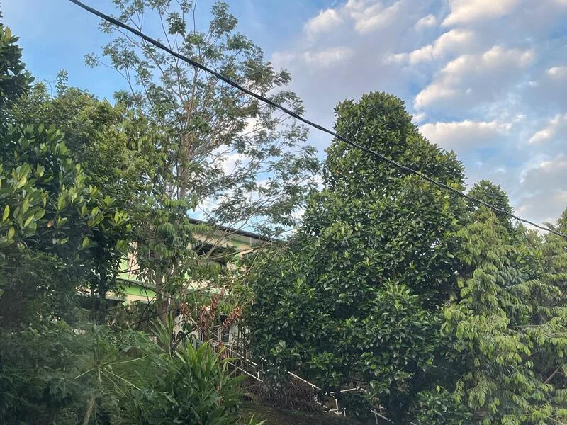 Exterior features: lush greenery, mature trees, tropical landscaping, cloudy sky, visible building structure in background.