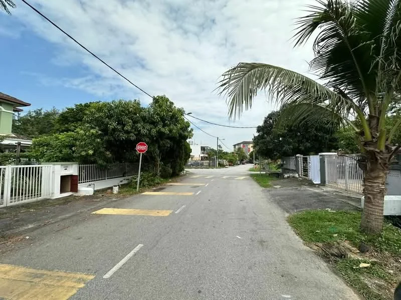 Exterior features: paved road, stop sign, tropical landscaping, palm trees, manicured lawn, residential houses, street lighting, sidewalk.