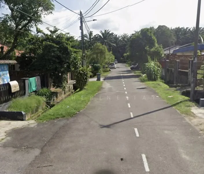 Exterior features: paved road, street lined with trees, residential houses on both sides, overhead power lines, greenery along the roadside, driveways visible, open space on the left side, fenced properties.