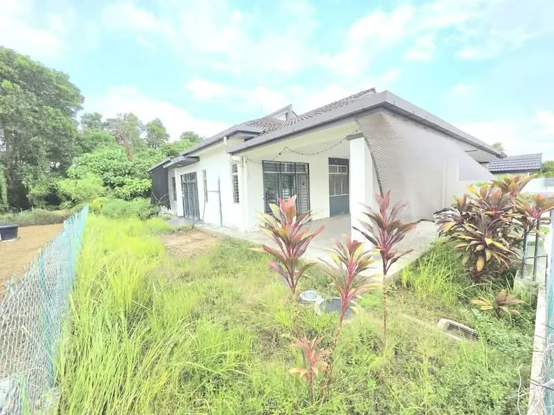 Exterior type: detached bungalow; features: white painted facade, flat roof, approximately single-storey, manicured lawn, mature trees, tropical landscaping, fenced perimeter, garden area with shrubs, patio area, driveway, surrounded by greenery; style: modern.