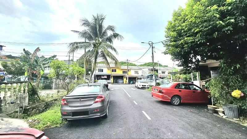 Exterior type: linked terrace house; features: paved road, palm trees, street parking, two-storey linked terrace houses, greenery along the roadside, residential area, overcast sky; style: modern.