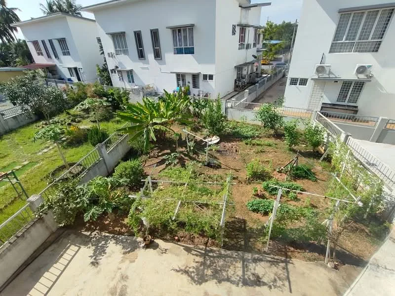 Exterior type: linked terrace house; features: manicured lawn, vegetable garden with various plants, fenced garden area, paved walkway, mature trees, air conditioning units visible on building, surrounding residential area; style: modern.