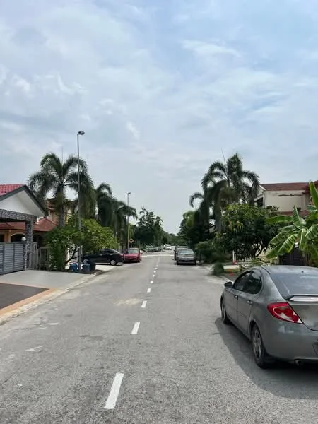 Exterior features: residential street, paved road, palm trees lining the street, single-storey houses on both sides, greenery and landscaping, parked cars on the street, overcast sky.