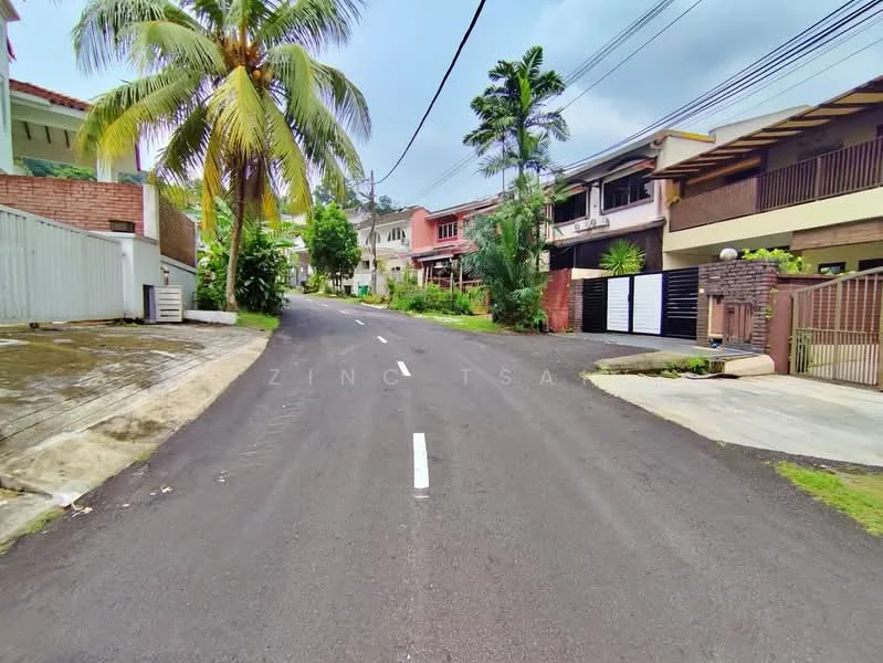 Exterior features: paved road, tropical palm trees, residential houses, manicured landscaping, street lighting, power lines, sidewalk, curbside drainage.