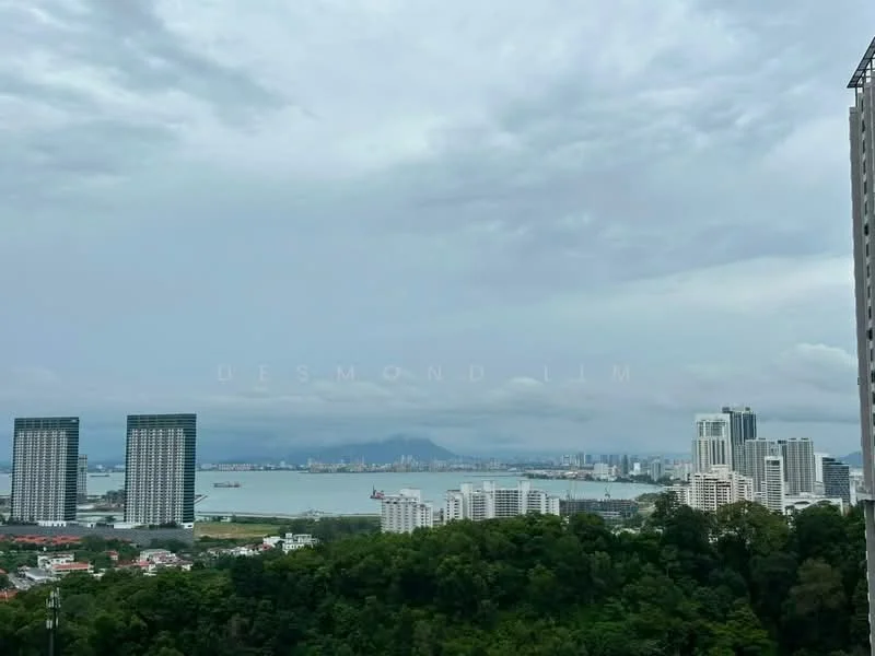 Exterior type: high-rise condominium; features: city skyline view, waterfront, surrounded by greenery, multiple high-rise buildings, cloudy sky, distant mountains; style: modern.