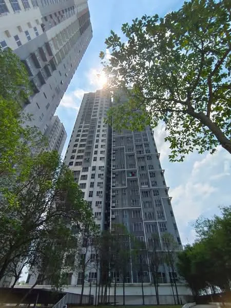 Exterior type: high-rise condominium; features: glass curtain wall, concrete facade, approximately 20-storey high-rise, surrounded by mature greenery, sunlight reflecting off the building, balconies on upper floors, tree-lined landscape, urban setting; style: modern.