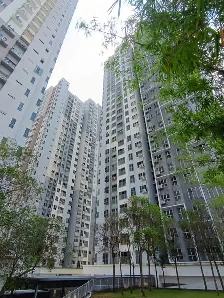 Exterior type: high-rise condominium; features: glass curtain wall, grey painted facade, multiple balconies, surrounded by greenery, manicured lawn, tall residential towers; style: modern.