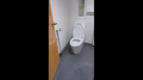 Bathroom features: white ceramic toilet, grey vinyl flooring, white tiled walls, single flush mechanism, window for natural light, wooden door, toilet paper holder.