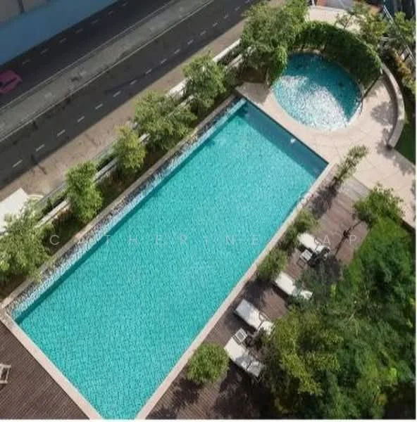 Exterior type: swimming pool deck; features: infinity pool, separate jacuzzi, pool deck with loungers, landscaped greenery, paved walkway, surrounding palm trees; style: modern.
