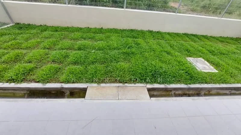 Exterior type: landscape garden; features: manicured lawn, concrete pathway, drainage channel, fenced perimeter, green grass, flat terrain; style: modern.