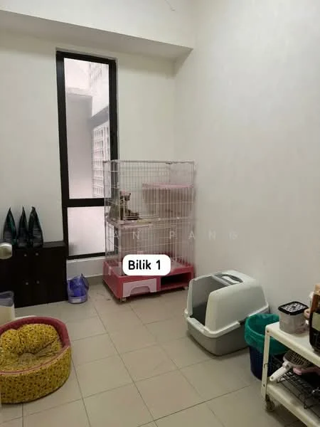 Room features: white painted walls, tile flooring, single window, cat cage, pet bed, litter box, storage cabinet, plastic storage bins.