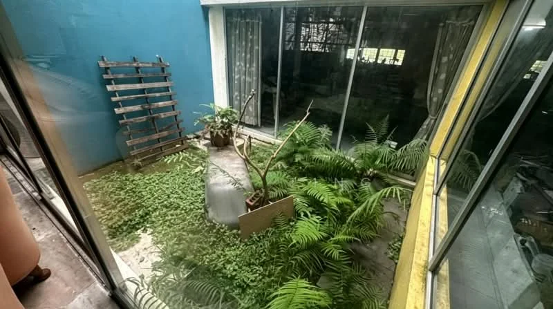 Room features: greenery with ferns, potted plants, wooden trellis, concrete flooring, glass walls, natural light, indoor garden, stone pathway; style: modern; view: garden.