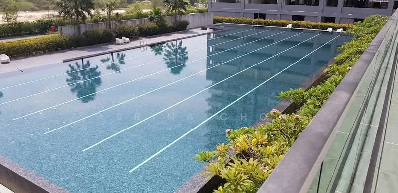 Exterior type: swimming pool deck; features: infinity pool, lap pool with swimming lanes, surrounding landscaped garden, tropical plants, pool deck with loungers, glass railing, paved walkway, poolside lighting; style: modern.