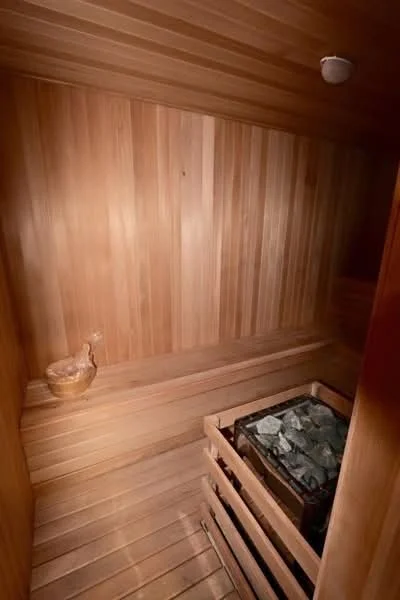 Room features: wood paneling, wooden benches, stone heater, wooden bucket, ceiling light, wooden flooring; style: modern.