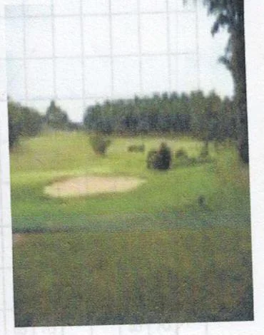 Exterior features: golf course, sand trap, manicured lawn, mature trees, open landscape.