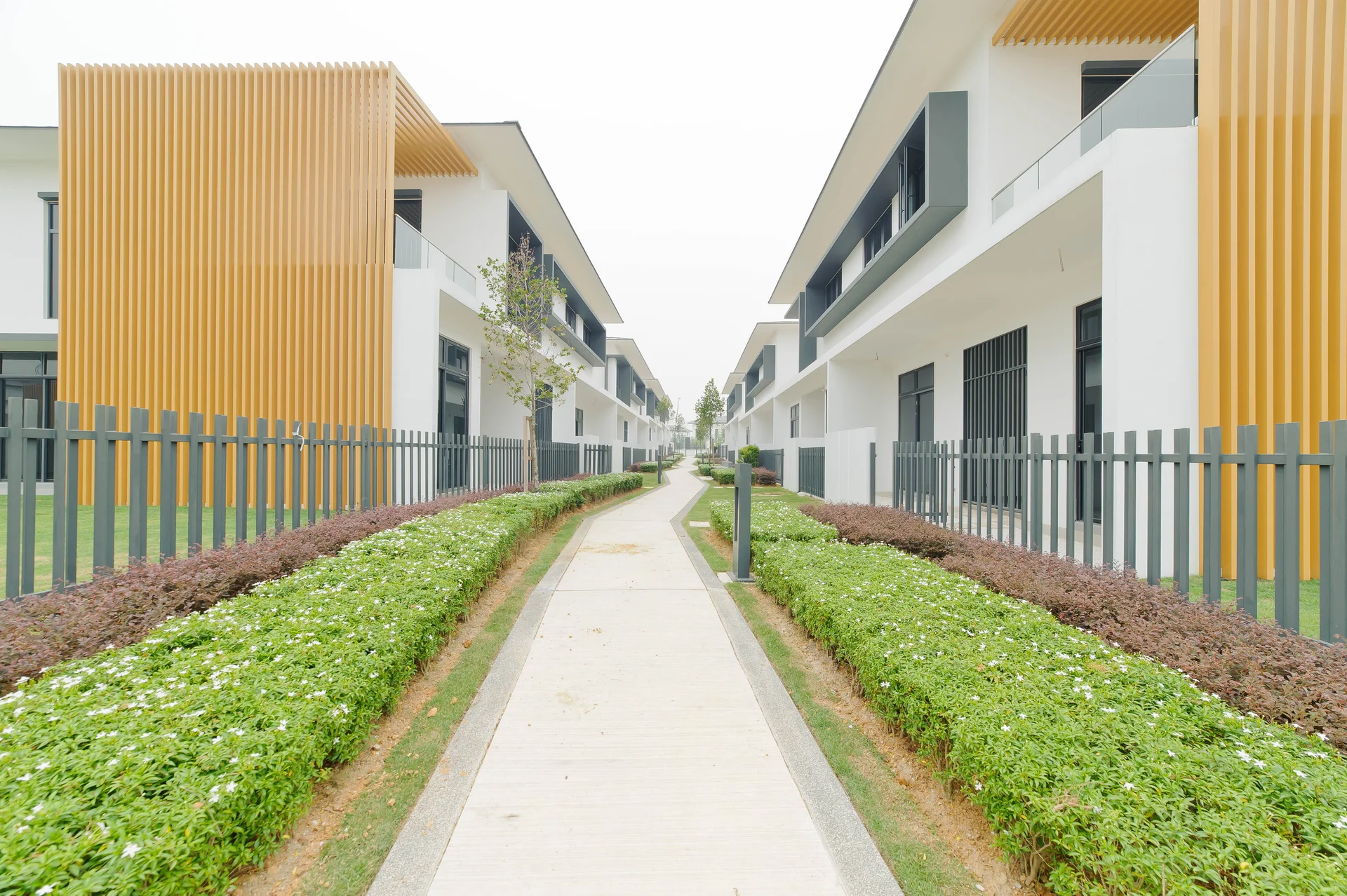 Exterior type: linked terrace house; features: white painted facade, yellow accent cladding, two-storey buildings, manicured lawn, landscaped garden with shrubs, paved walkway, fenced perimeter, modern architectural design; style: modern.