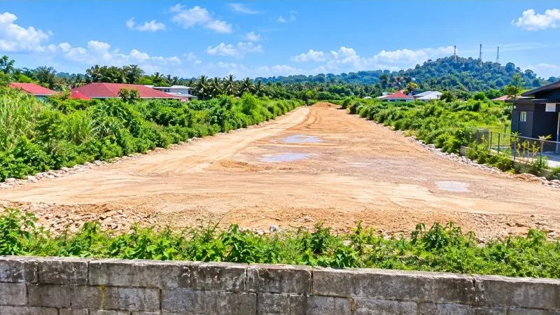 Exterior type: landscape garden; features: dirt road under construction, surrounded by dense tropical greenery, mature palm trees, low stone retaining wall in foreground, scattered single-storey houses with red roofs, hilly background, communication towers on hilltop, clear blue sky, suburban rural setting, unsealed earth surface with puddles; style: contemporary.