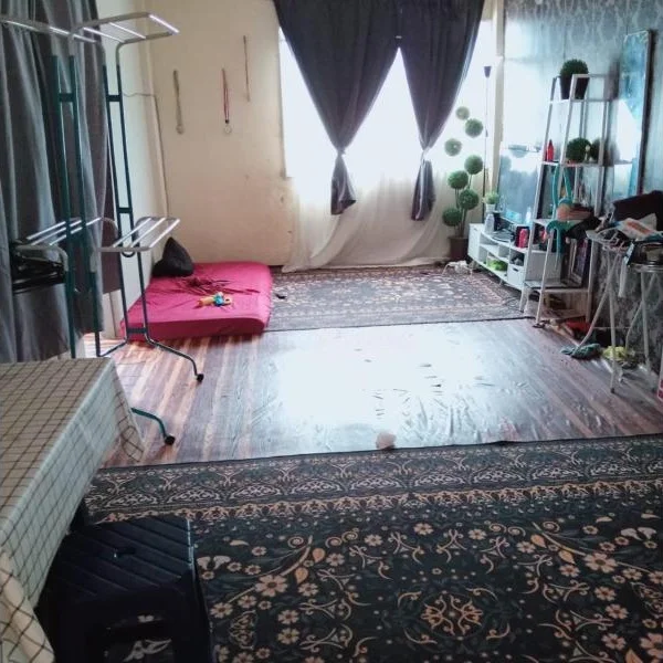Living features: wood flooring, large window with sheer curtains, red floor cushion, decorative plants in pots, area rug with intricate pattern, white shelving unit, clothes drying rack, wall-mounted mirror, decorative wall accents.